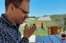 From Athens: Olive Oil Tasting, Olive Grove & Wine Experience