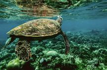 2 Hours Private Scuba Diving Activity in Qantab Beach 
