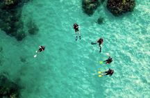 2 Hours Private Scuba Diving Activity in Qantab Beach 