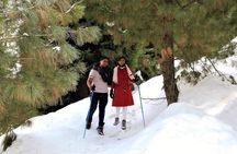 Full-day Trekking Tour to Mohanmarg Meadow