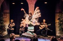 Private Seville Flamenco & Tapas Experience
