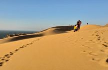 Sahara desert & paradise trip in agadir with lunch and camel ride