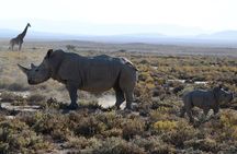 Arusha: Private 3 Day Safari Tarangire, Ngorongoro, Lake Manyara