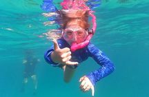 Private Half Day Charter Tour in Turks and Caicos