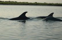 Guided Historical Bus and Boat Cruise Tour in Beaufort 