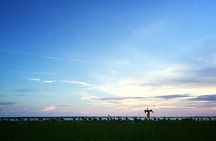 Guided Historical Bus and Boat Cruise Tour in Beaufort 