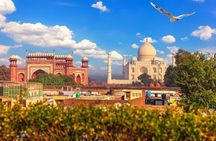 Private Taj Mahal at Sunrise and Agra Day Tour from Delhi All Inclusive