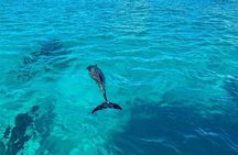 Full Day Private Charter Tour Turks and Caicos 