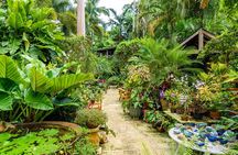 Breathtaking Wonders - Harrisons Cave and Hunte's Gardens