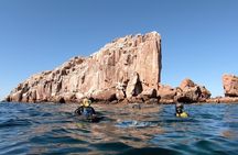 ULTIMATE HIGHLIGHTS TOUR: Whale Sharks, Sea Lions & Beach Lunch