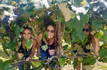 All Inclusive VIP Wine or Beer Tour in Hudson Valley