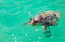 Eco Biosphere Tour, Sian Kaan Swim from Tulum City