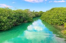 Eco Biosphere Tour, Sian Kaan Swim from Tulum City