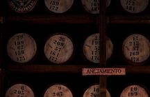 Legacy Tour at Casa BACARDÍ in Puerto Rico