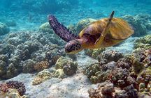Eco Biosphere Tour, Sian Kaan Swim from Tulum City