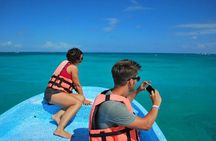 Eco Biosphere Tour, Sian Kaan Swim from Tulum City
