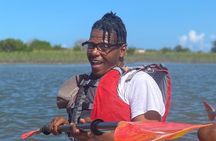 Guided Tour for Dolphin & Sea Turtle Observation in Saint Augustine, Florida