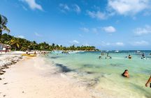 Exotik half a day tour: Cenote Cave and Swimming with Sea Turtles