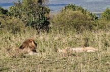 3-Day Masai Mara Safari Jeep Tour