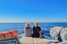 Private Yacht, Snorkeling or Sunset in Cabo San Lucas