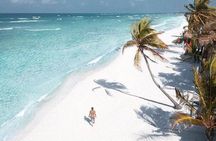 2x1 Tour: Isla Contoy, Isla Mujeres, Open Bar, Lunch and Transfers