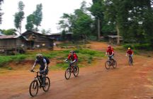 No.1 Chiang Mai: Epic Doi Suthep Downhill MTB Adventure