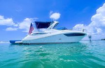 Yacht party cruise in St. Petersburg to Shell Key
