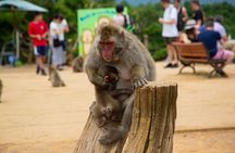 Kyoto: Arashiyama Bamboo, Temple, Matcha, Monkeys & secret spots