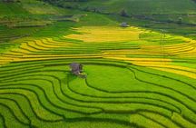 From Hanoi: 3 Days Sapa Trekking & Ethnic Villages by Dcar