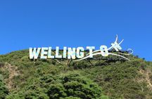 Wellington Full Day Private Tour in Electric Tesla SUV