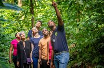 St Lucia Birdwatching Tour at Rainforest Adventures
