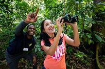 St Lucia Birdwatching Tour at Rainforest Adventures