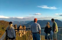 PRIVATE Blue Mountains Wilderness & Wildlife Late Start Tour