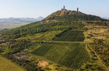 A delightful wine tasting in the scenic countryside with lunch