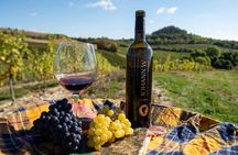 A delightful wine tasting in the scenic countryside with lunch
