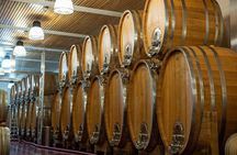 A delightful wine tasting in the scenic countryside with lunch