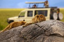 4-Day Materuni Kilimanjaro Hike, Serengeti & Ngorongoro Crater