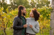 Wine Enthusiast Tour 