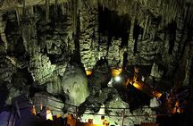 Family Excursion: From Sea Wonders to Mythical Realms Adventure