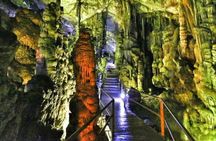 Family Excursion: From Sea Wonders to Mythical Realms Adventure