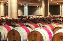 From the Vineyards to the Chalice: A Unique Tasting Experience