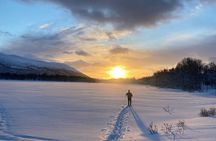 Experience Cross-Country Adventure in Tromsø