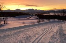 Experience Cross-Country Adventure in Tromsø
