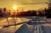 Experience Cross-Country Adventure in Tromsø