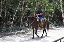 Horseback riding Tour with ATV circuit, ziplines and Cenote