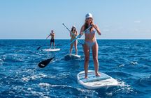 Paddleboard in Capri between caves and beaches