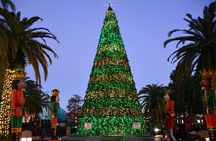 Enchantment and Elation: A Private Disney Springs Christmas