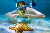 4 Hour Cozumel Reefs Snorkeling