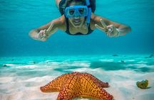 4 Hour Cozumel Reefs Snorkeling