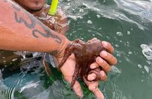  Fishing and Snorkeling Combo